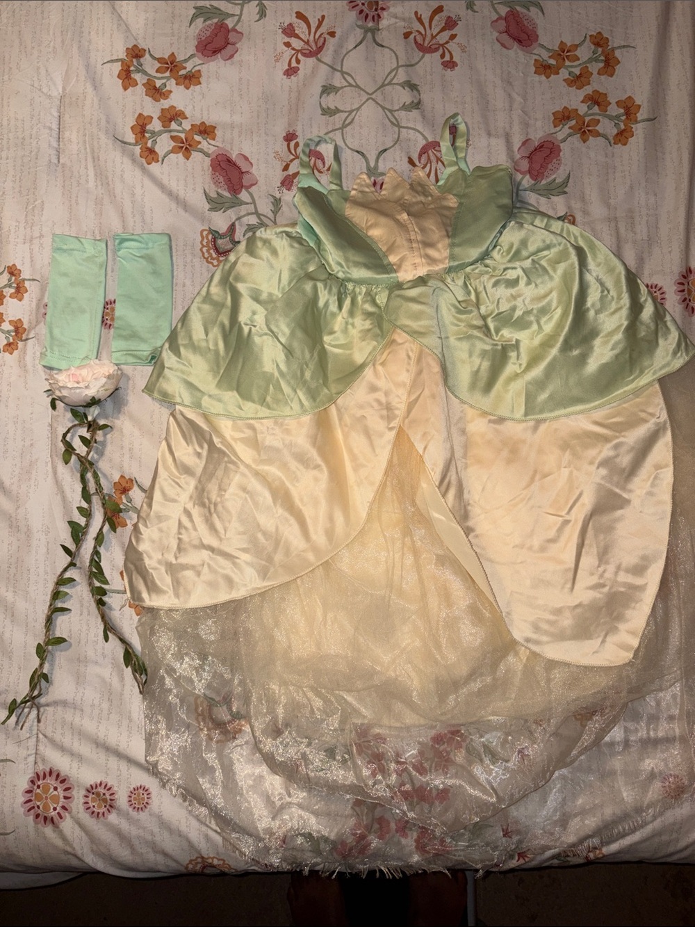 Tiana Green and Cream Princess Dress Costume with Rose Accessory